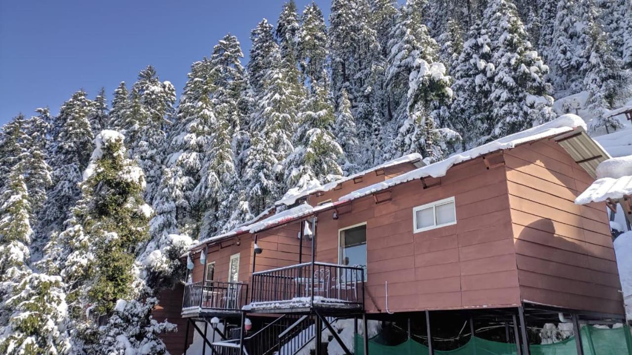 Aamod Resorts Dalhousie ! Luxury Cottage Resort Zewnętrze zdjęcie