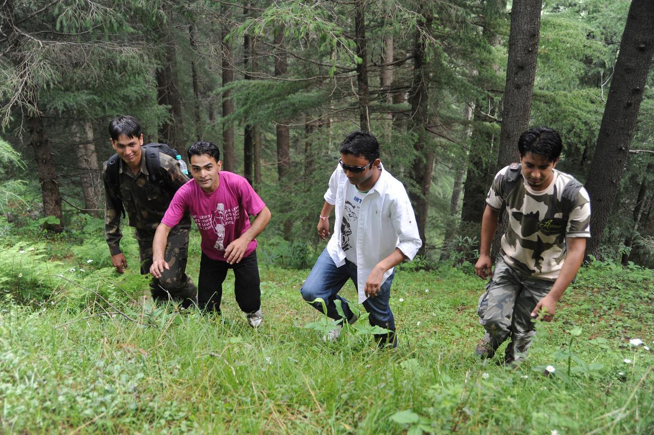 Aamod Resorts Dalhousie ! Luxury Cottage Resort Zewnętrze zdjęcie
